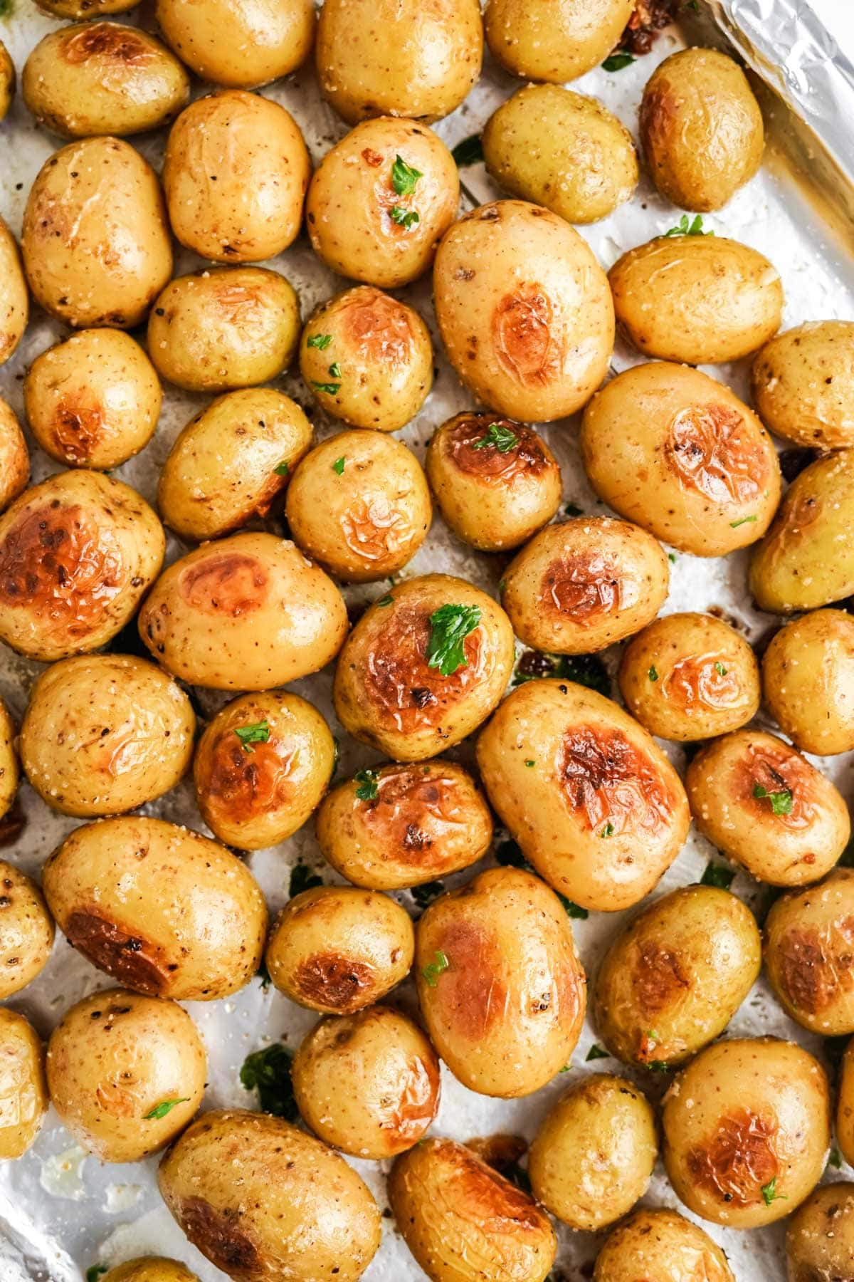 roasted baby potatoes close up