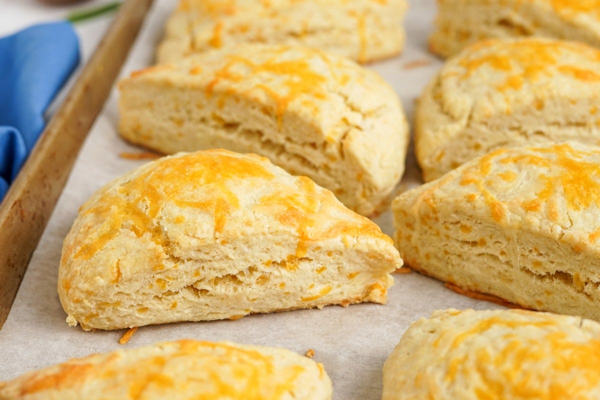 cheese scones fresh out of the oven