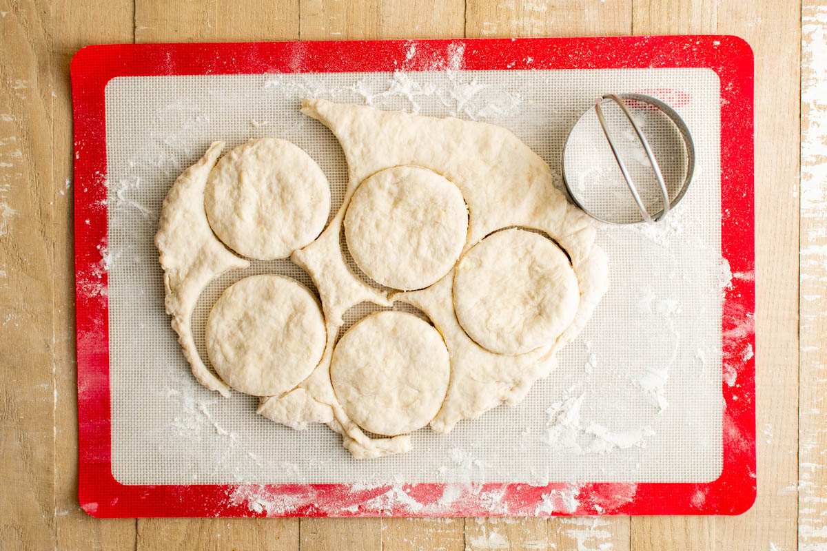 rolled out biscuit dough and round cut-outs