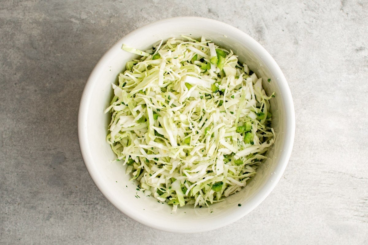 cabbage, onions and celery in a bowl