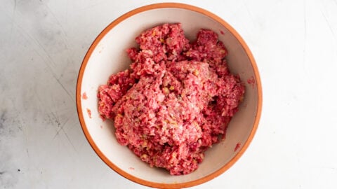 mixed meatball mixture in a bowl