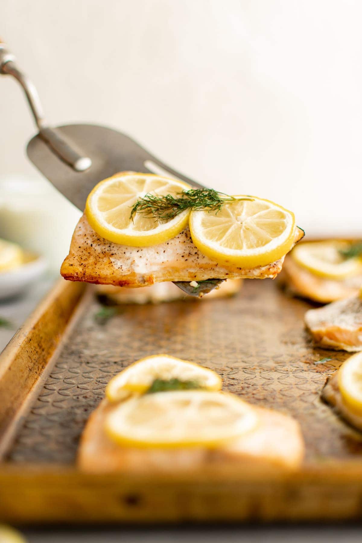 A spatula lifting up a piece of salmon with sliced lemons and dill. 