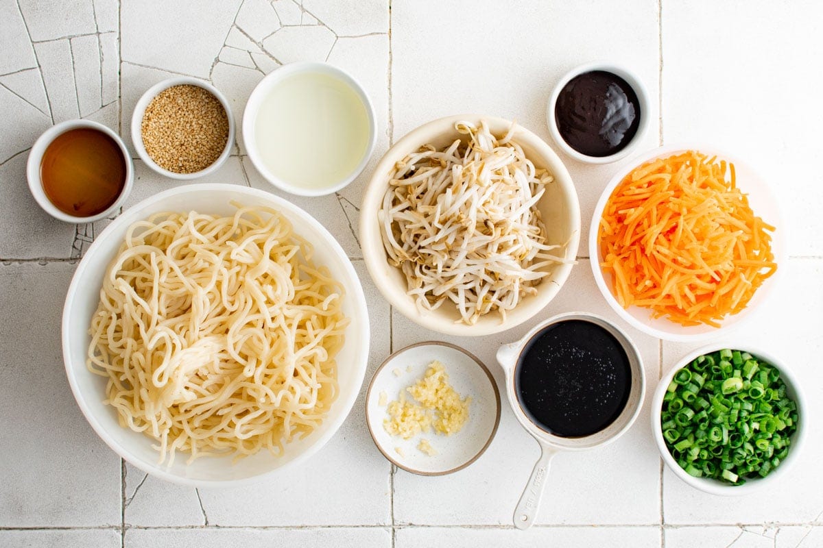Ingredients for Pan Fried Noodles.  