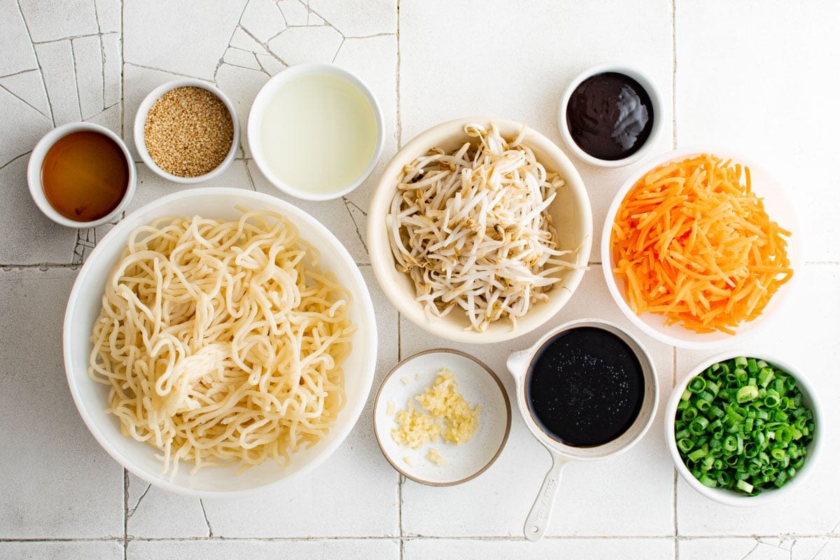 Ingredients for Pan Fried Noodles.