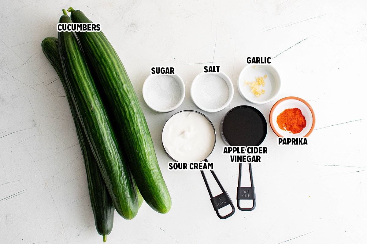 Ingredients for German cucumber salad.