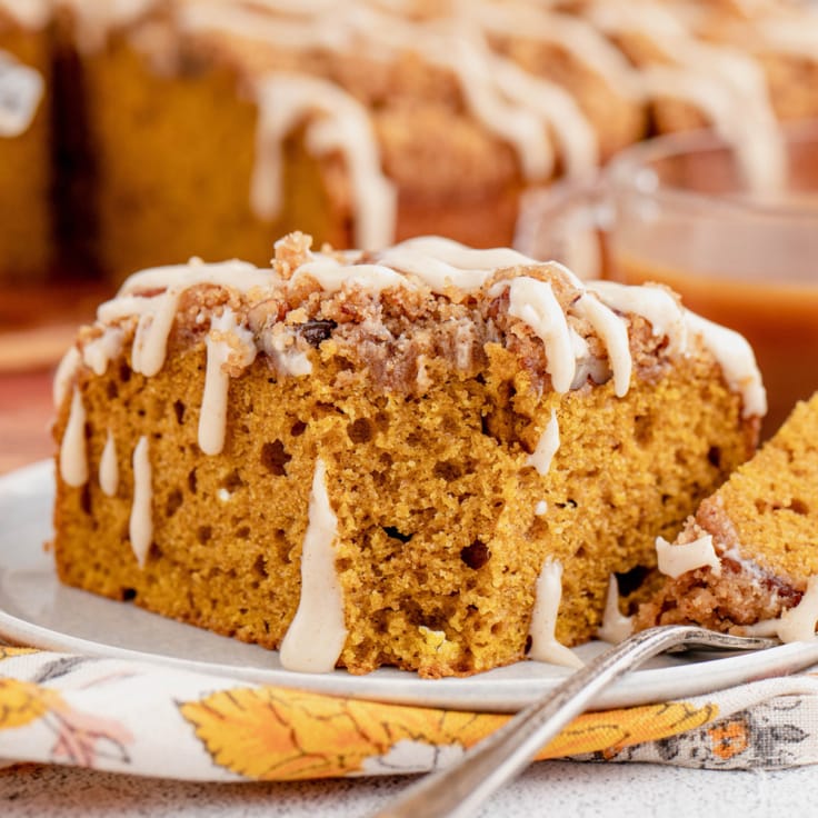 Pumpkin Coffee Cake with Pecan Streusel - Yellow Bliss Road