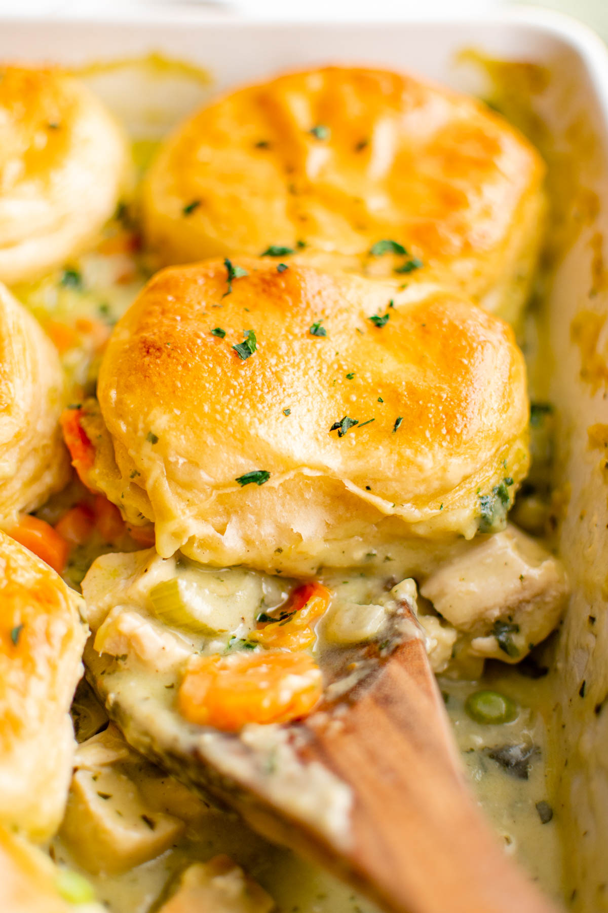 Chicken pot pie with biscuits and a wooden spoon, in a casserole dish. 