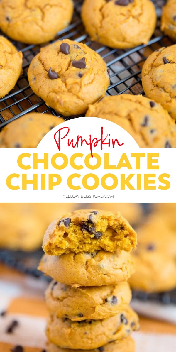 Pumpkin Chip Cookies – Recipes By Val
