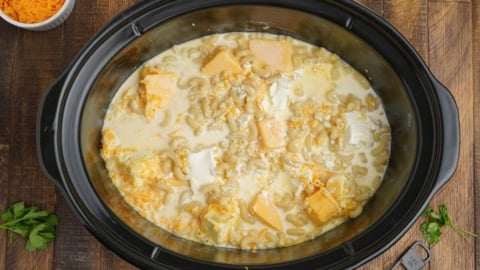 Macaroni, cheese, and evaporated milk in a slow cooker.