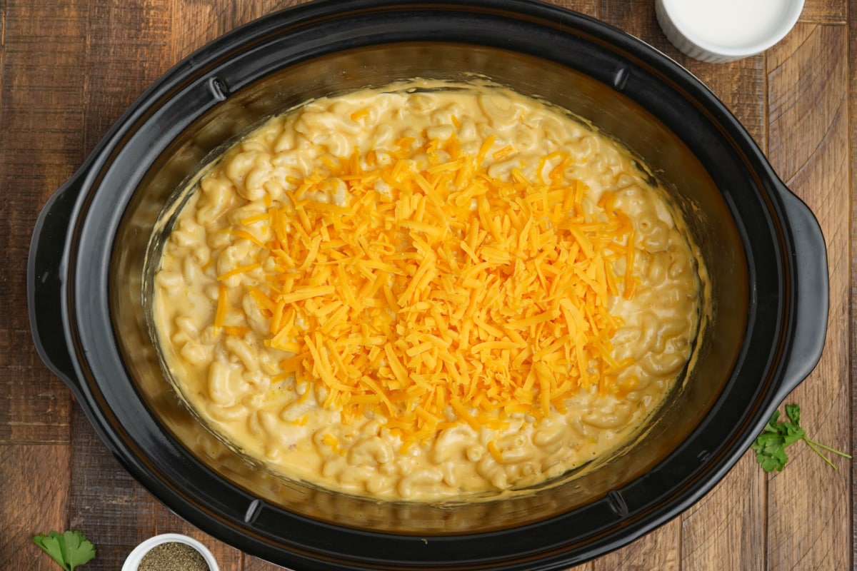 Macaroni with cremy cheese sauce and shredded cheese on top in a slow cooker.