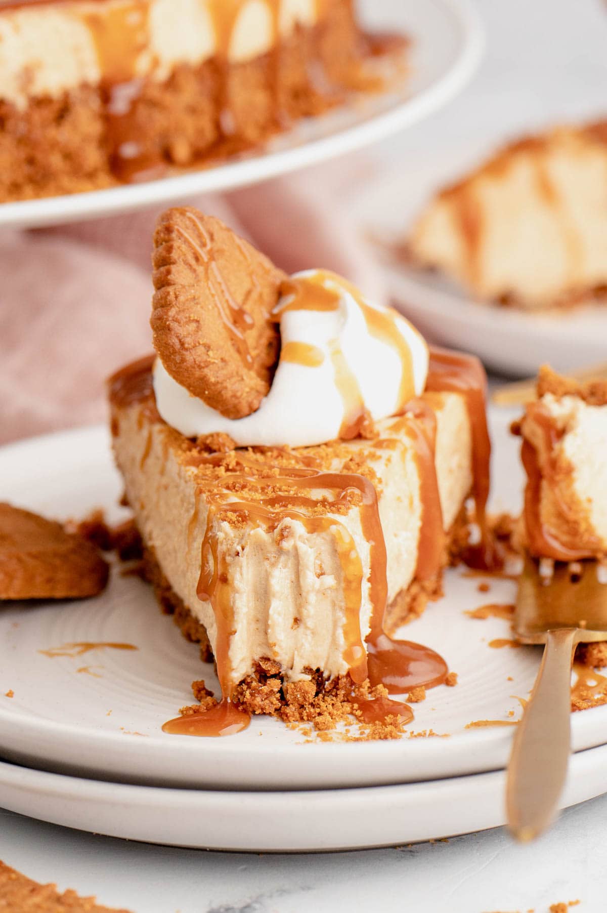 Slice of Biscoff cookie cheesecake with a bite removed, on a plate.