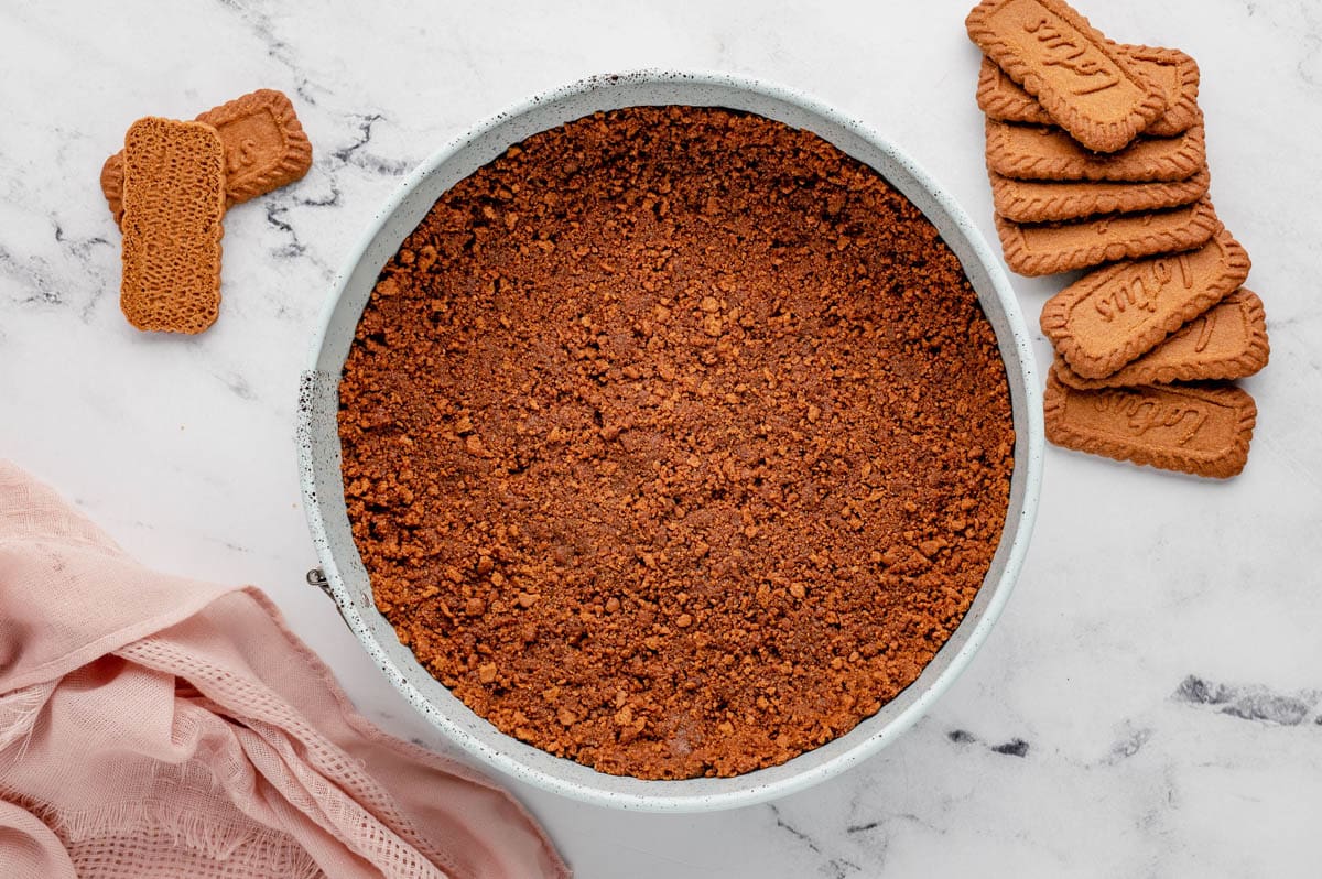 Crushed cookies crumbs in a springform pan.