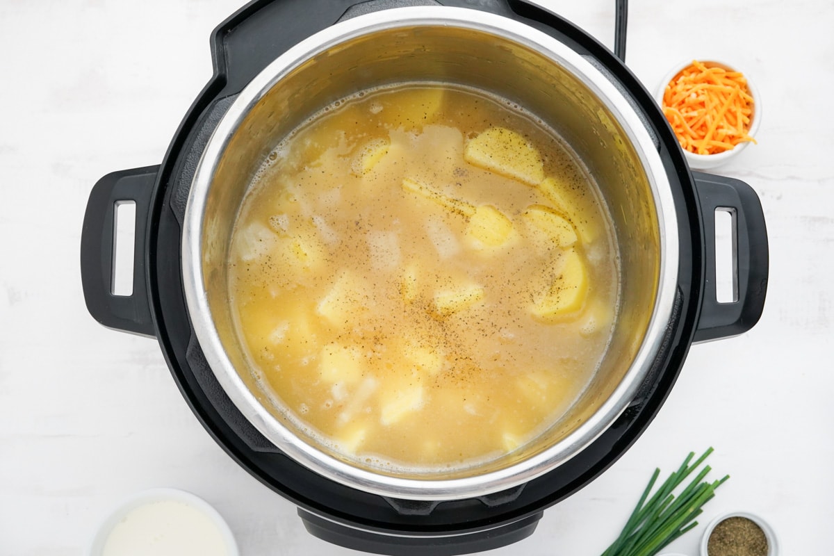 Potato chunks and broth in an instant pot.