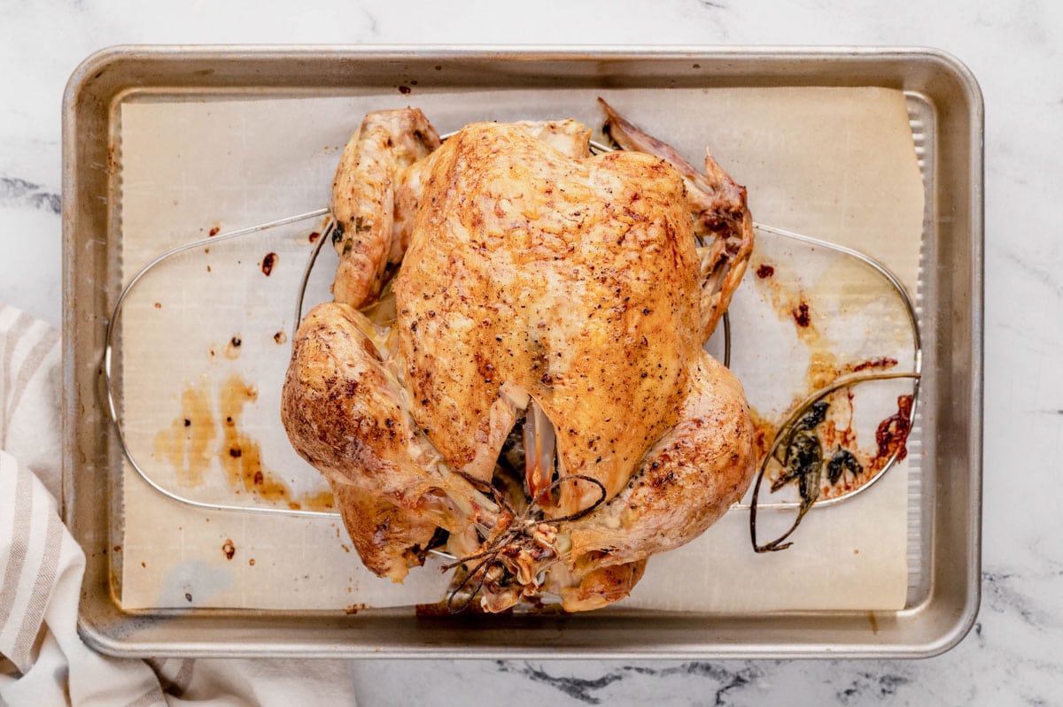 Roasted chicken sitting on a trivel on a baking sheet.