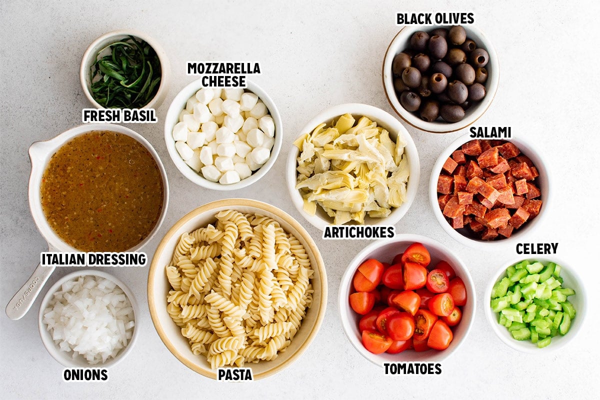 Ingredients for Antipasto Pasta Salad