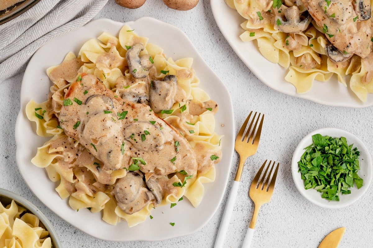 Chicken stroganoff on a pate with egg noodles and forks.