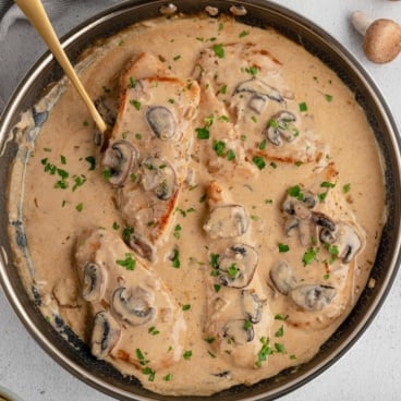 chicken stroganoff social image.