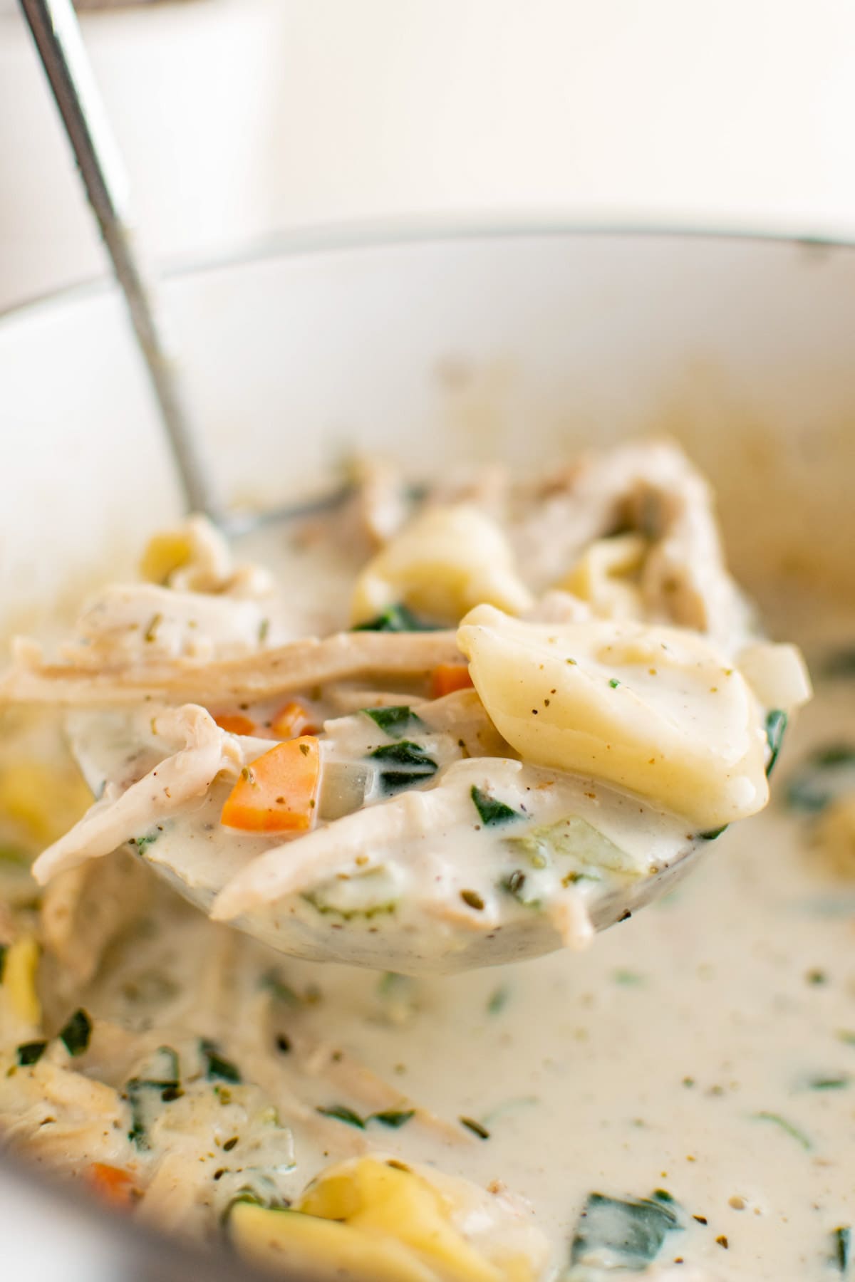 Chicken tortellini soup on a ladle over a pot of soup.