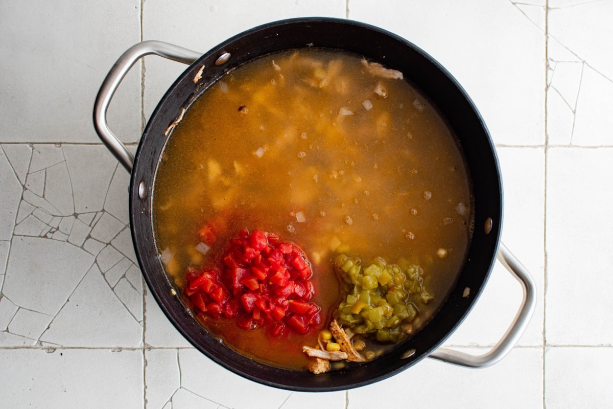 Soup broth with canned tomatoes and green chiles and chicken.