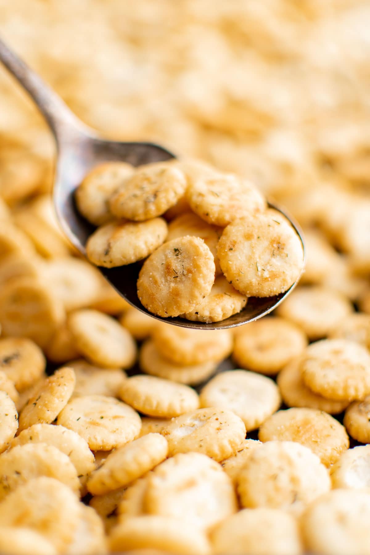 Oyster crackers with ranch seasoning on a spoon.