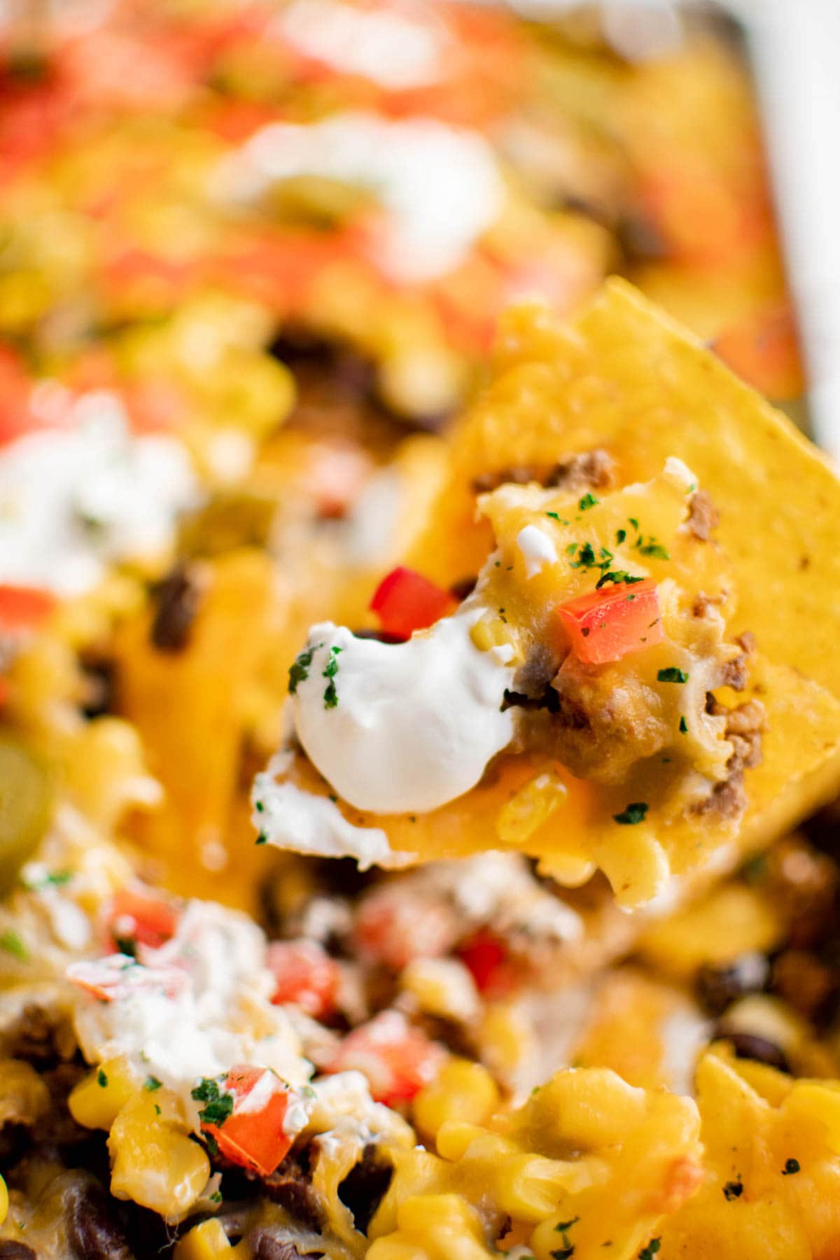 A tortilla chip with tomatoes and sour cream.