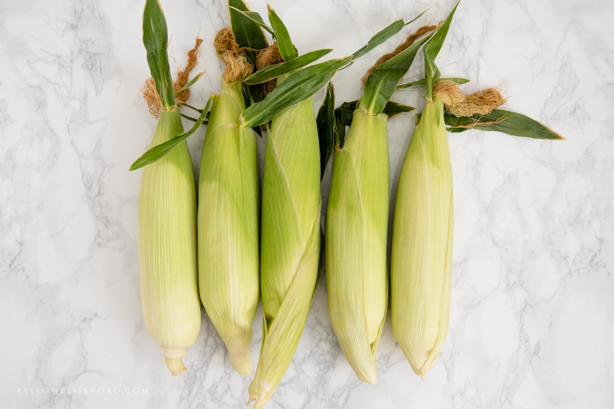 5 Cobs of corn in the husks.