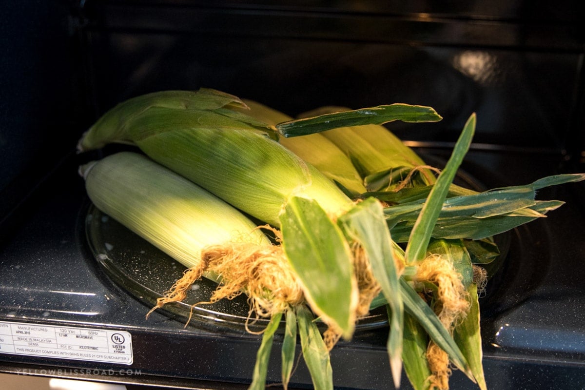 Cobs of corn in the husks set in the microwave.