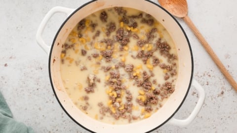 Ground beef, uncooked macaroni, milk and broth in a large soup pot.