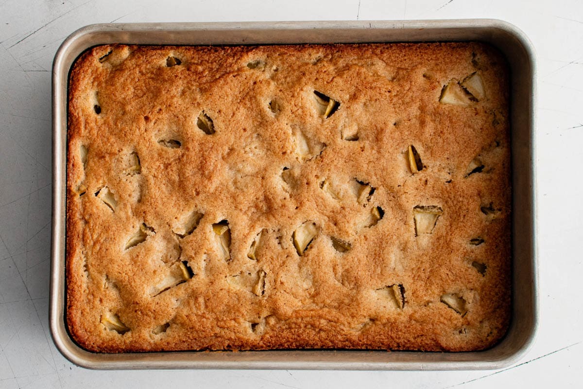 Baked apple cake in a pan.