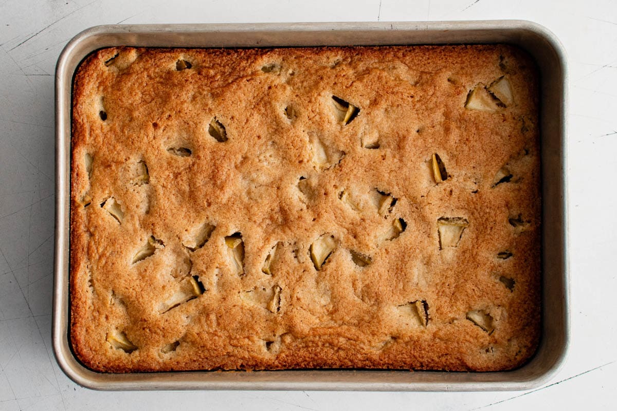 Baked apple cake in a pan.