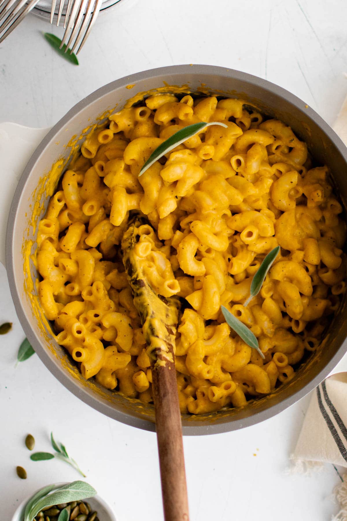 Pot with macaroni in an orange sauce with fresh sage leaves.