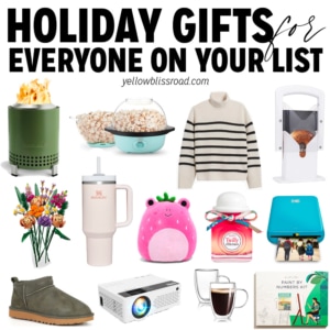NEW for 2023! Holiday Gift Guide