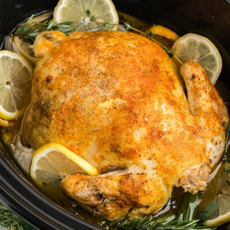 Crockpot Whole Chicken | Yellow Bliss Road