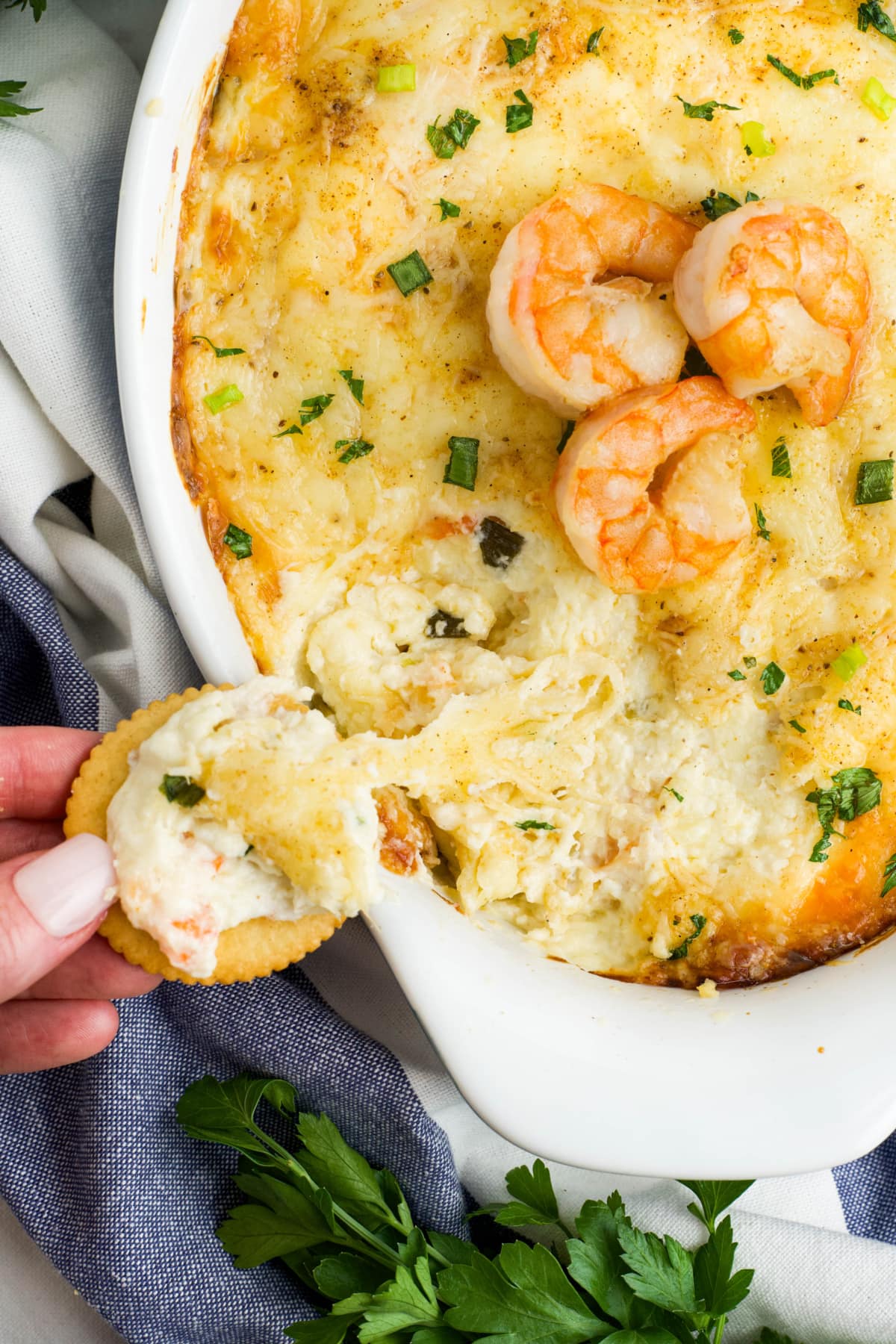 Baked shrimp dip with a hand pulling a cheesy bite on a Ritz cracker.