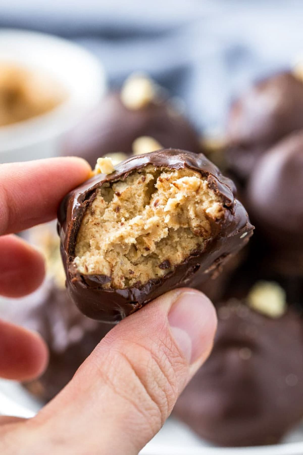 A peanut butter ball coated in chocolate and split in half to reveal the insides.