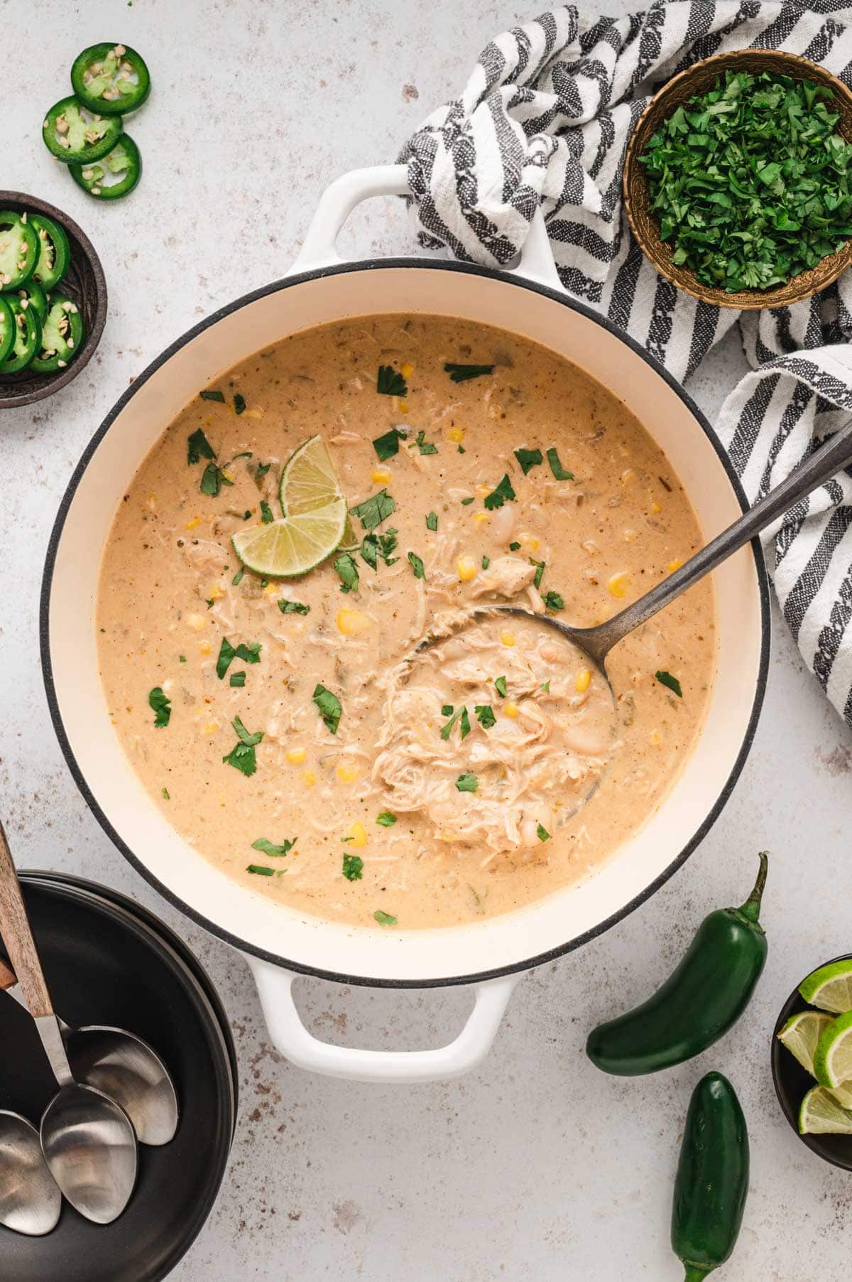 Pot of white chicken chili with a ladle.