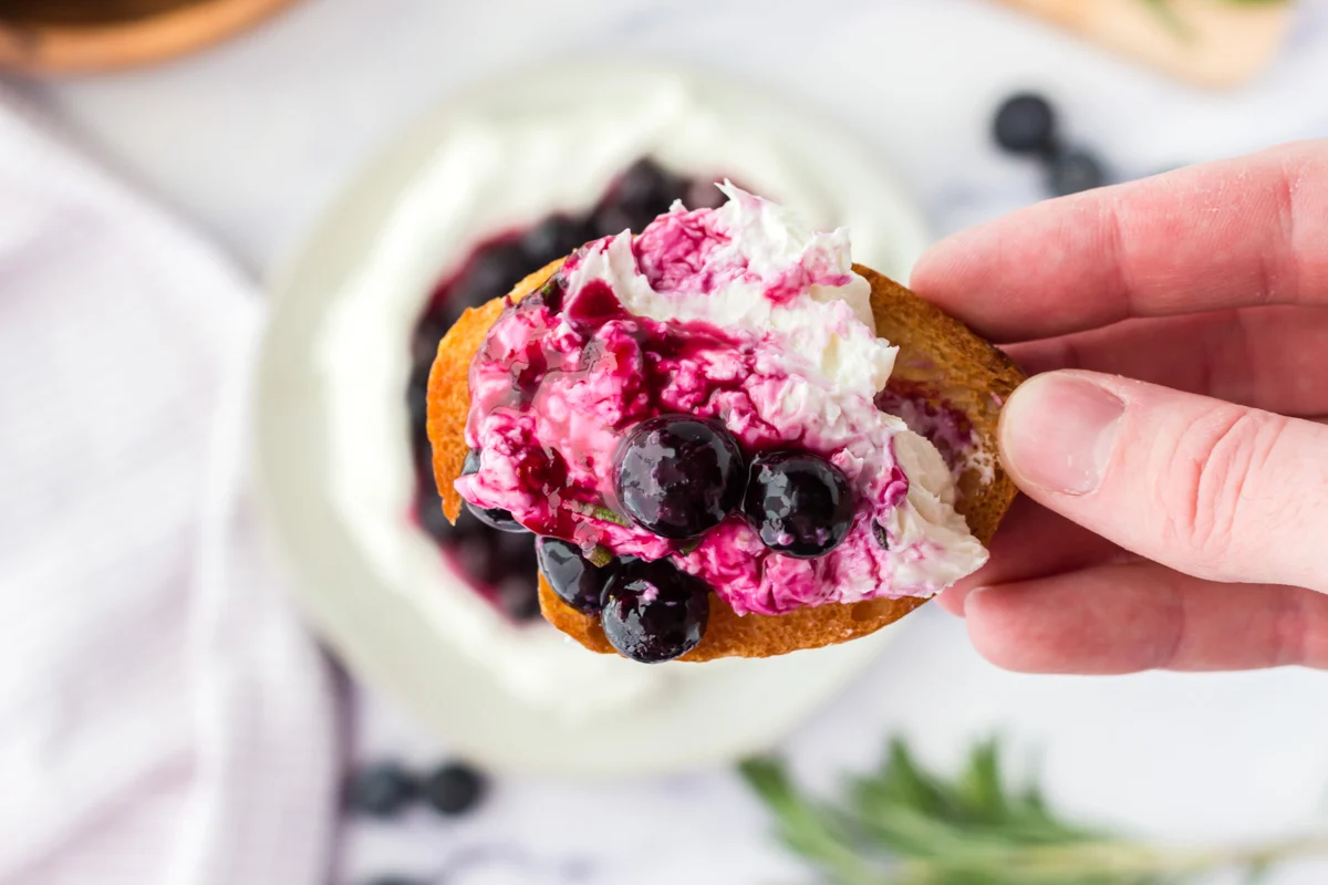 A hand holding a crostini with blueberry goat cheese spread. 