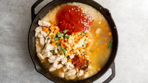 Cast iron skillet, chicken broth, tomato sauce, diced cooked chicken, frozen vegetables.