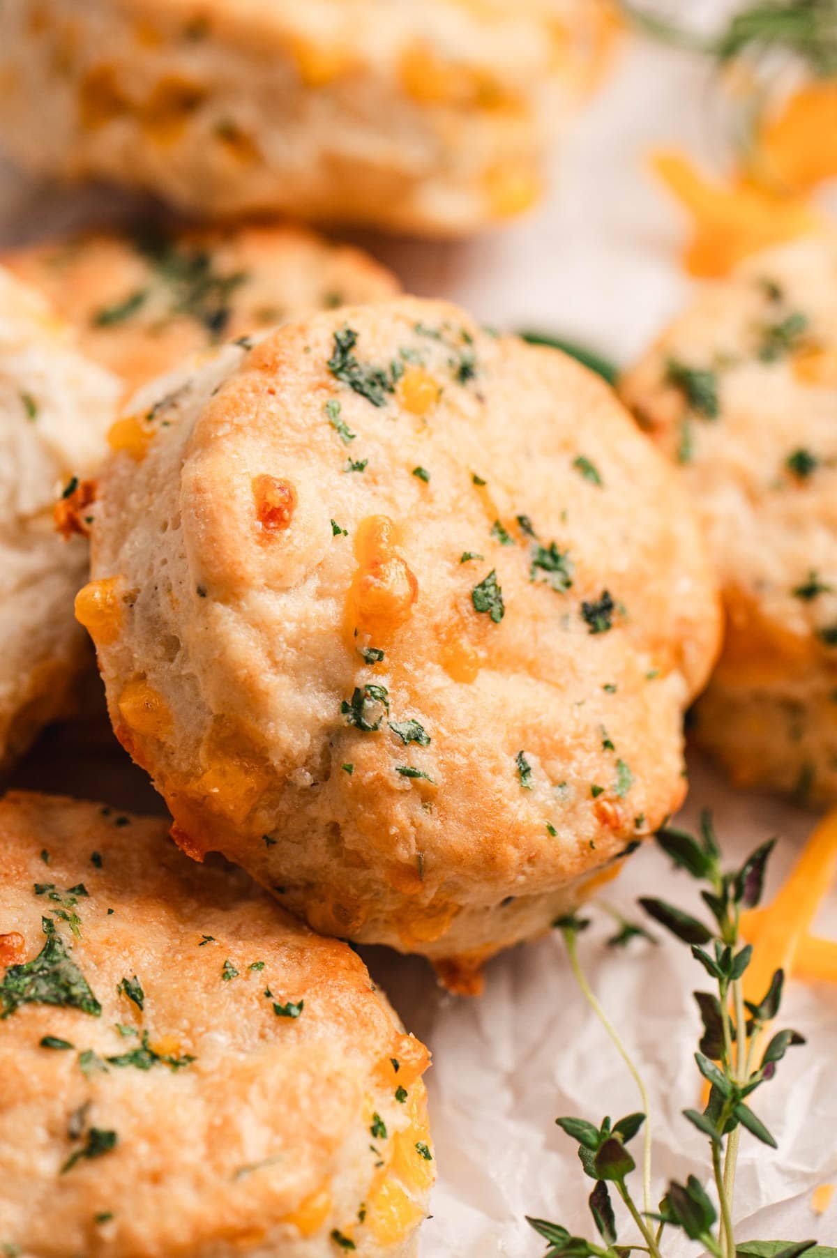Close up of cheddar herb biscuits.