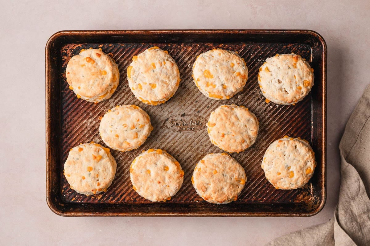 Baked cheddar herb biscuits on a sheet pan.