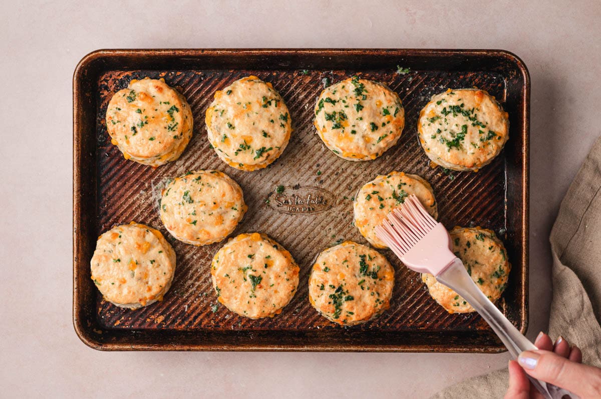 Baked cheddar herb biscuits on a sheet pan being brushed with butter and parsley.