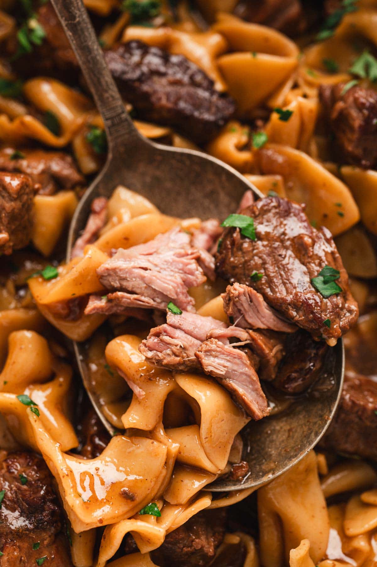 Close up of a spoonful of crockpot beef and noodles.