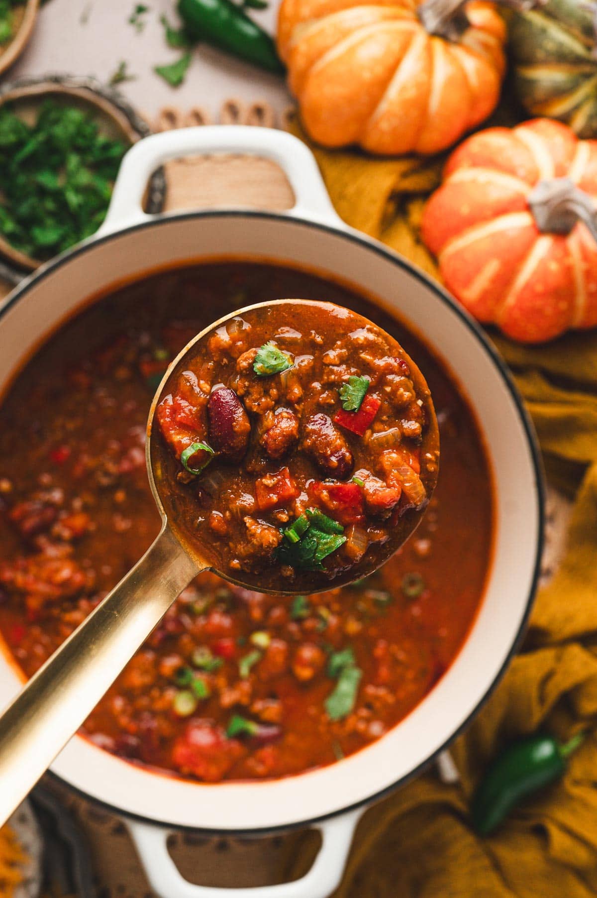Ladle full of pumpkin chili.