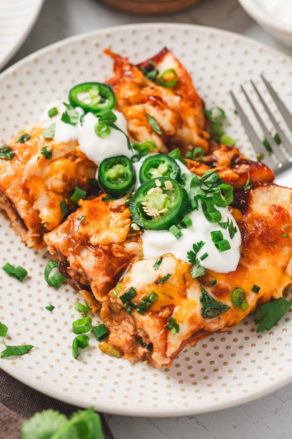 Plate of cranberry turkey enchiladas topped with sour cream, green onions, and jalapenos.