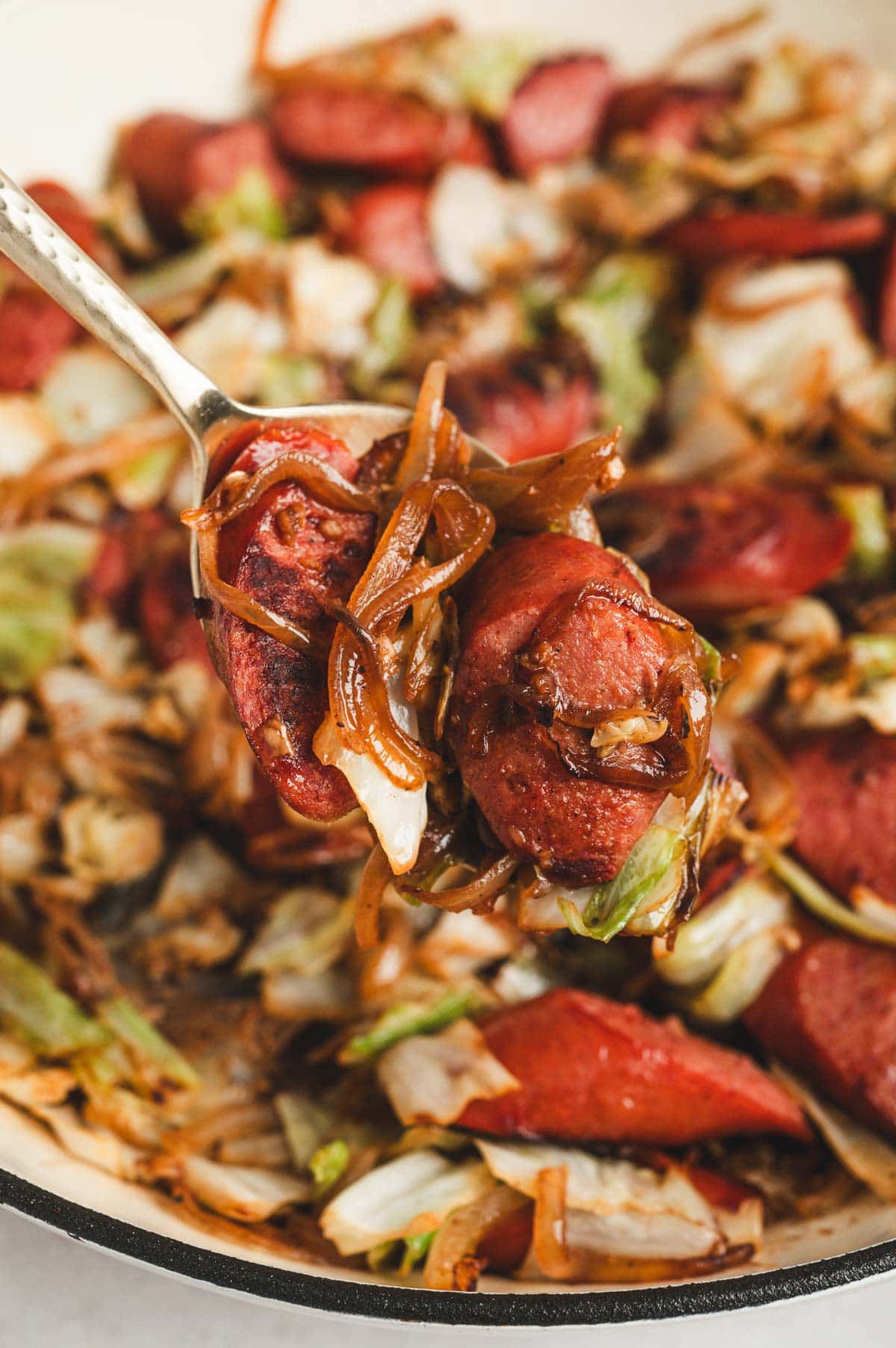 Spoonful of kielbasa and cabbage