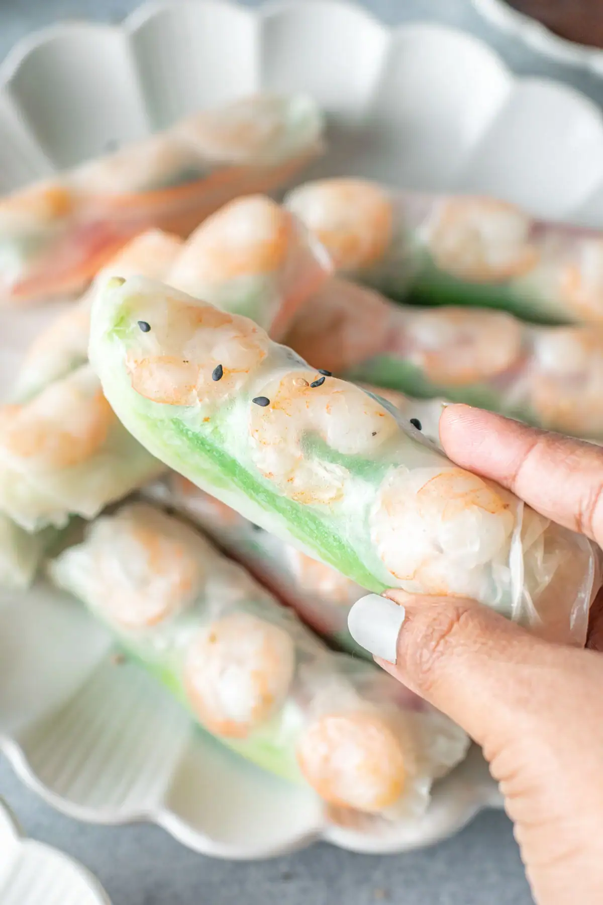 Hand holding up a shrimp spring roll.