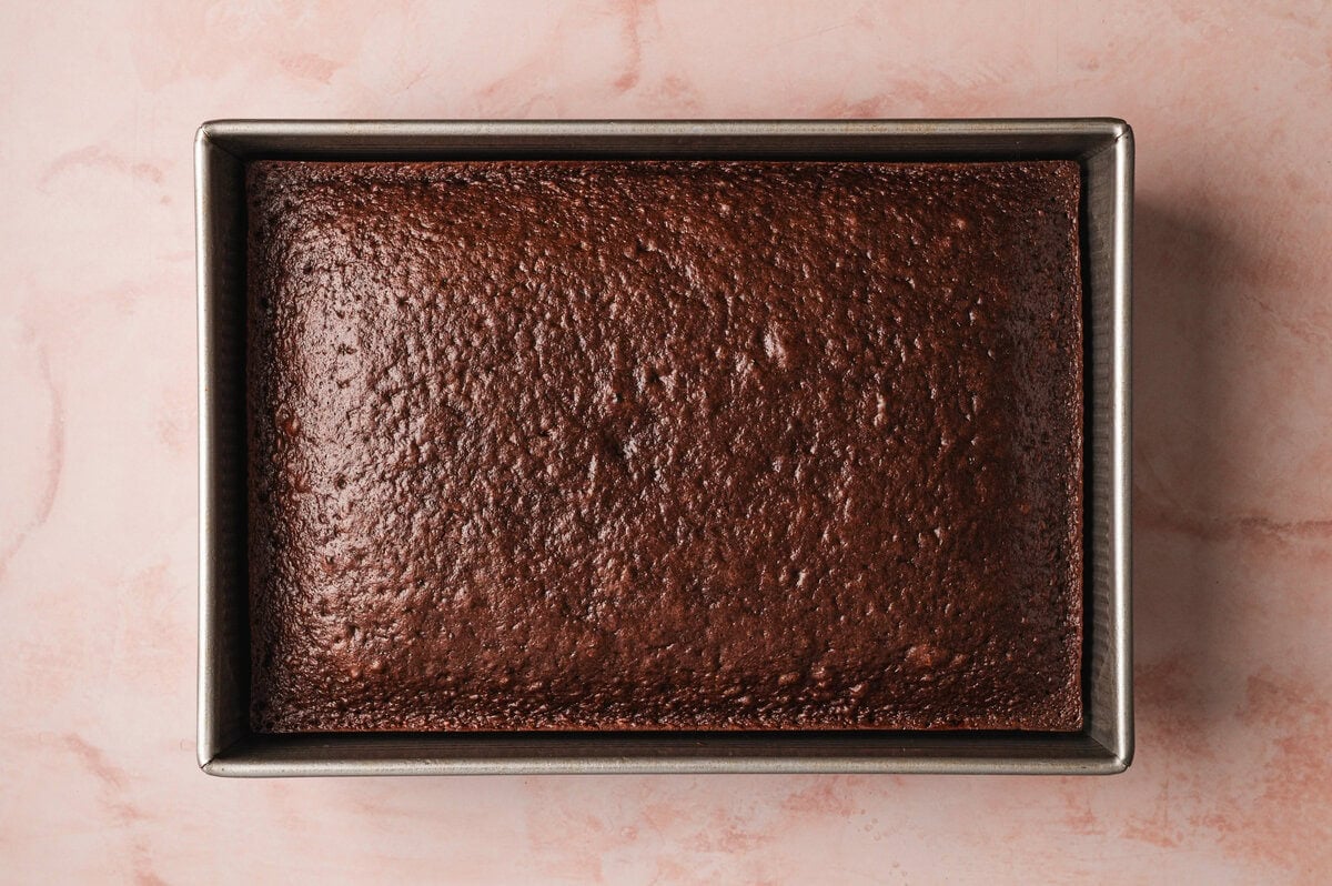 Baked chocolate cake in a pan